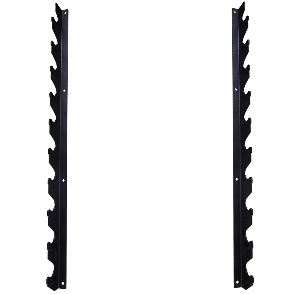 Wall Mounted 10 Bar Rack (Gun rack)