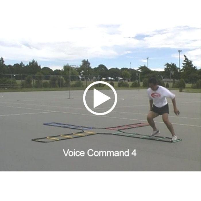 Multi - Coloured Ladder Online Video__XLR8 Fitness